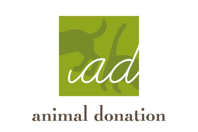 【NOJESS Animal Donation Project】 寄付実績のご報告と活動終了のお知らせ
