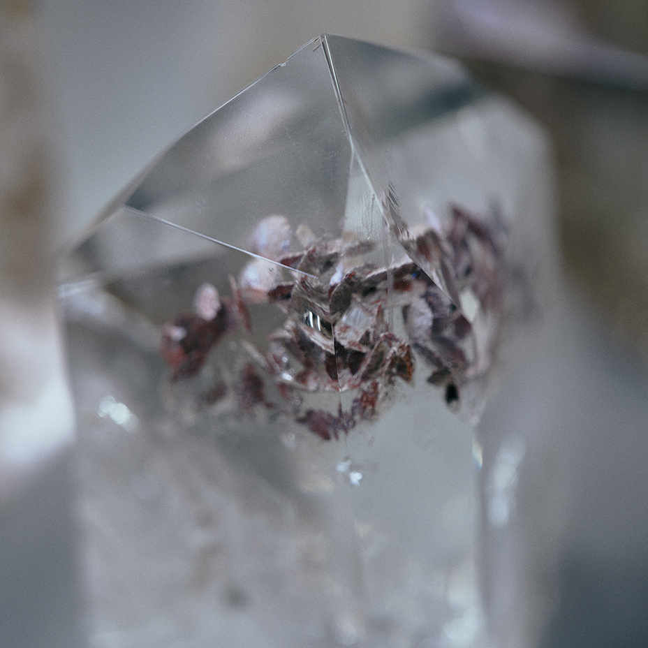 20250527_as_0228